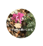 自然の贈り物（個別スタンプ：8）