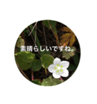 自然の贈り物（個別スタンプ：11）