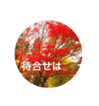 自然の贈り物（個別スタンプ：14）