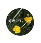 自然の贈り物（個別スタンプ：16）