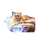 ダークメチェ（個別スタンプ：2）