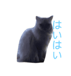ダークメチェ（個別スタンプ：7）