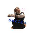 ちょとまてミーさん第二弾！（個別スタンプ：8）