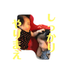 ちょとまてミーさん第二弾！（個別スタンプ：21）