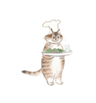 料理をしたい猫-David（個別スタンプ：18）