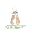 料理をしたい猫-David（個別スタンプ：22）