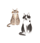 料理をしたい猫-David（個別スタンプ：33）