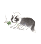 料理をしたい猫-David（個別スタンプ：40）