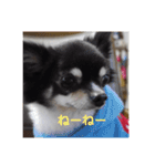 3wanwan.smz（個別スタンプ：10）
