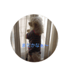 3wanwan.smz（個別スタンプ：14）