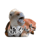 かうがーるの牛たち（個別スタンプ：12）