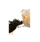 かうがーるの牛たち（個別スタンプ：15）