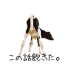 かうがーるの牛たち（個別スタンプ：27）
