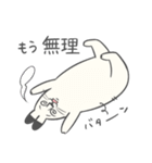 ねこもやし2（個別スタンプ：20）