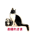 ゴンとチャチャ（個別スタンプ：7）
