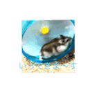 きゅんちゃんの日常（個別スタンプ：13）