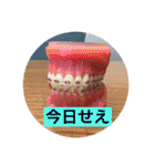 駐妻・帰国子女の苦悩（個別スタンプ：29）