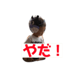 うえの1-1（個別スタンプ：16）