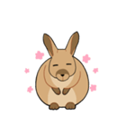 ビスカッチャさん（個別スタンプ：1）