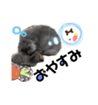 ROUIS stamppp（個別スタンプ：3）