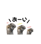 ROUIS stamppp（個別スタンプ：7）