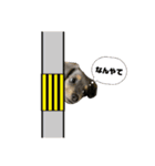 ROUIS stamppp（個別スタンプ：15）