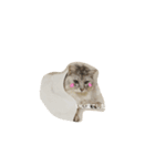 リュウとシュシュ②（個別スタンプ：13）