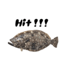 ヒラメ 釣り4（個別スタンプ：3）