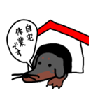 エンジニア犬（個別スタンプ：10）