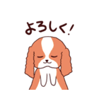 気持ちを伝えるわんこ（犬）バレンタイン等（個別スタンプ：4）