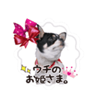 絹ぞー（個別スタンプ：2）