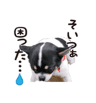 絹ぞー（個別スタンプ：4）