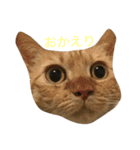 モカとまめた（個別スタンプ：10）