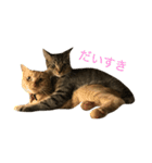 モカとまめた（個別スタンプ：39）