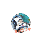つむスタンプ⑥（個別スタンプ：12）