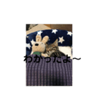 ネルくん（個別スタンプ：3）