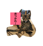 ネルくん（個別スタンプ：4）