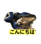 ネルくん（個別スタンプ：7）