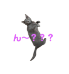 おはぎさん！2？（個別スタンプ：1）