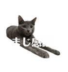 おはぎさん！2？（個別スタンプ：6）