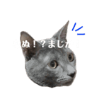 おはぎさん！2？（個別スタンプ：7）