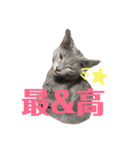 おはぎさん！2？（個別スタンプ：8）