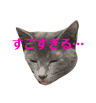 おはぎさん！2？（個別スタンプ：10）
