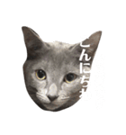 おはぎさん！2？（個別スタンプ：11）