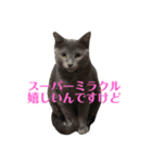 おはぎさん！2？（個別スタンプ：12）