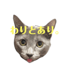 おはぎさん！2？（個別スタンプ：13）