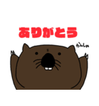 全世界のウォンバットのためのスタンプ（個別スタンプ：12）