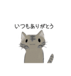 猫いっぱい 【感謝の気持ち】（個別スタンプ：12）