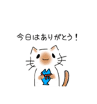 猫いっぱい 【感謝の気持ち】（個別スタンプ：25）