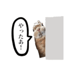 【実写】うさぎのはに。Part2（個別スタンプ：6）